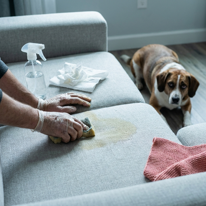 Washable Dog Diaper · Keep Your Couch & Rugs Dry